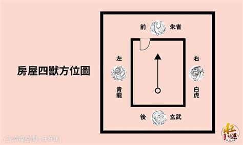 虎邊有水池|風水大師教你虎邊開門化解法